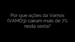 ​Por que ações da Vamos (VAMO3) caíram mais de 7% nesta sexta? 